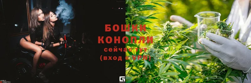 Бошки Шишки Ganja  дарнет шоп  Лебедянь 